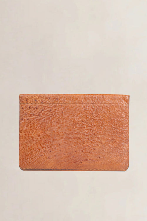 Delvaux Camel Ostrich Clutch