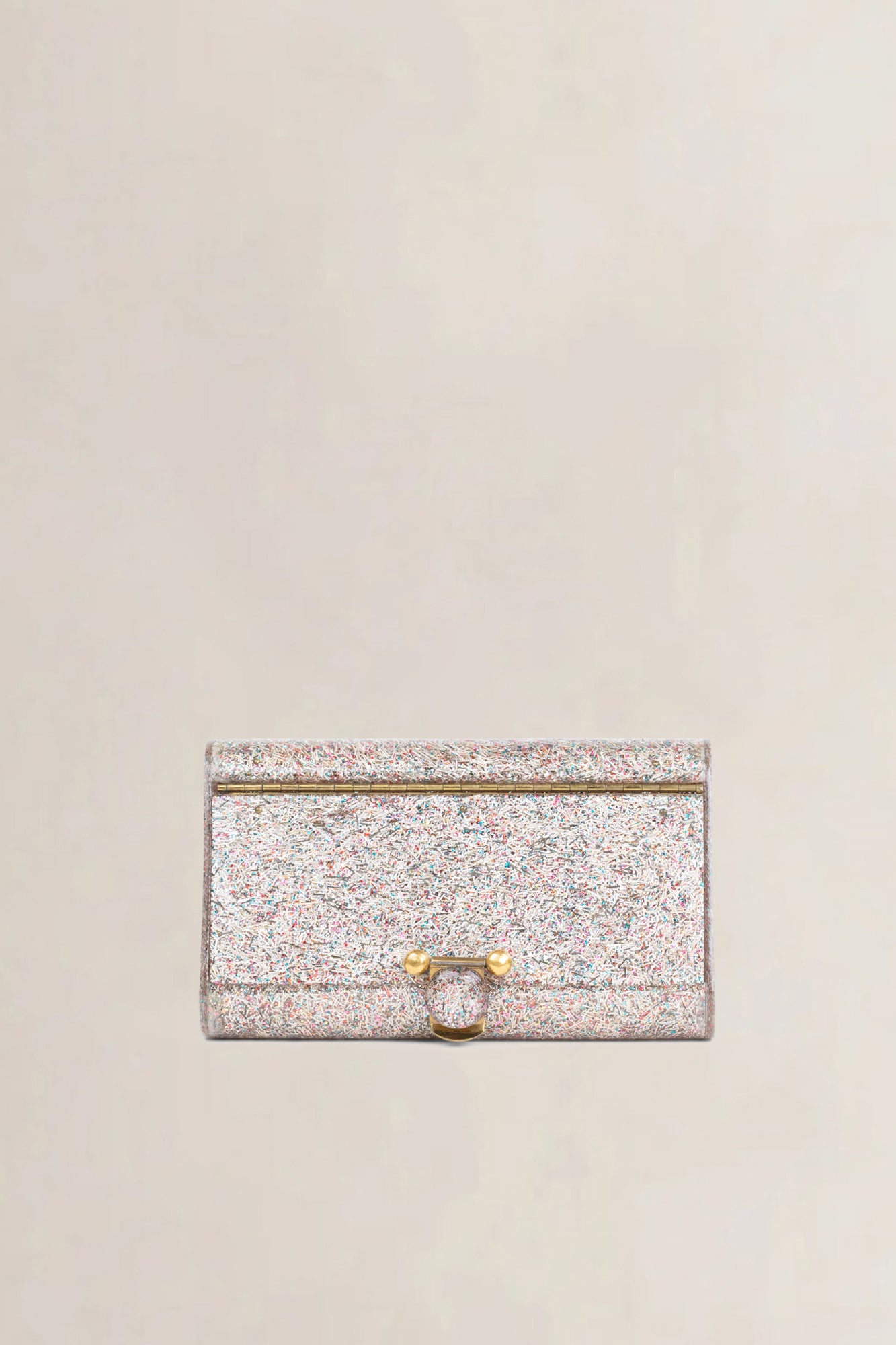 Confetti Lucite Clutch