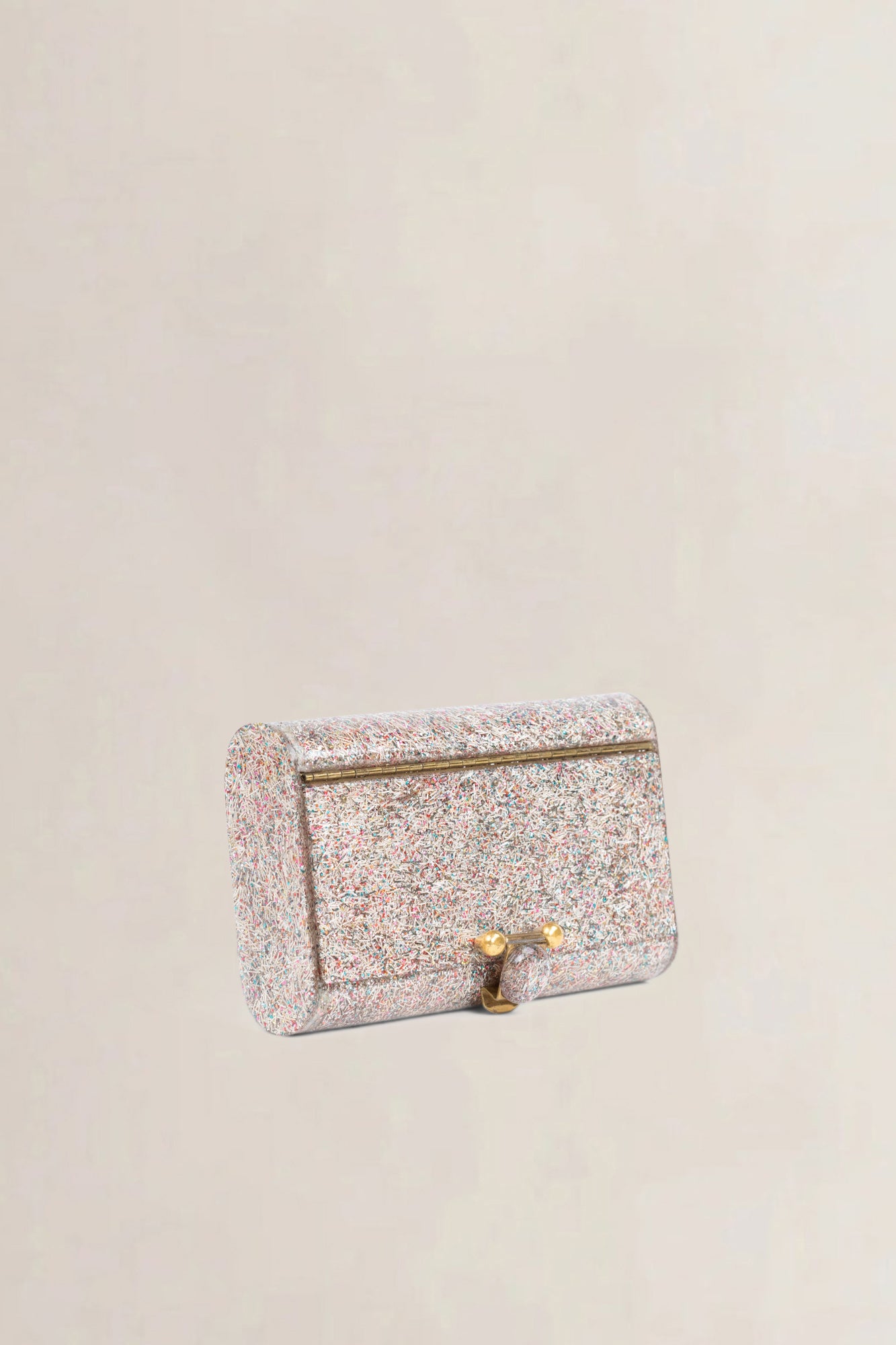 Confetti Lucite Clutch