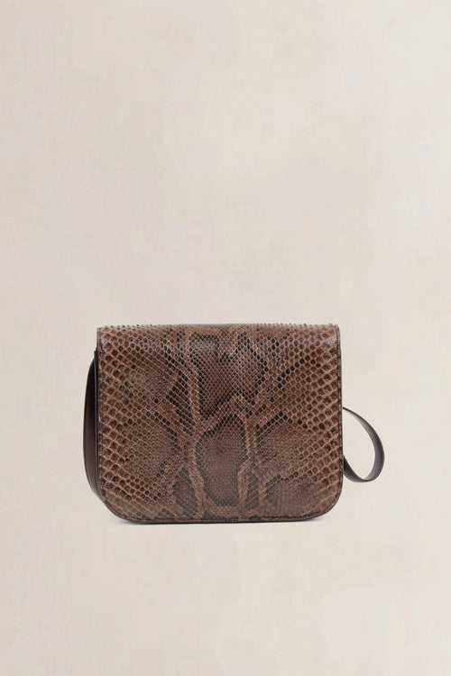 Céline Brown Python Classic Box Crossbody Bag