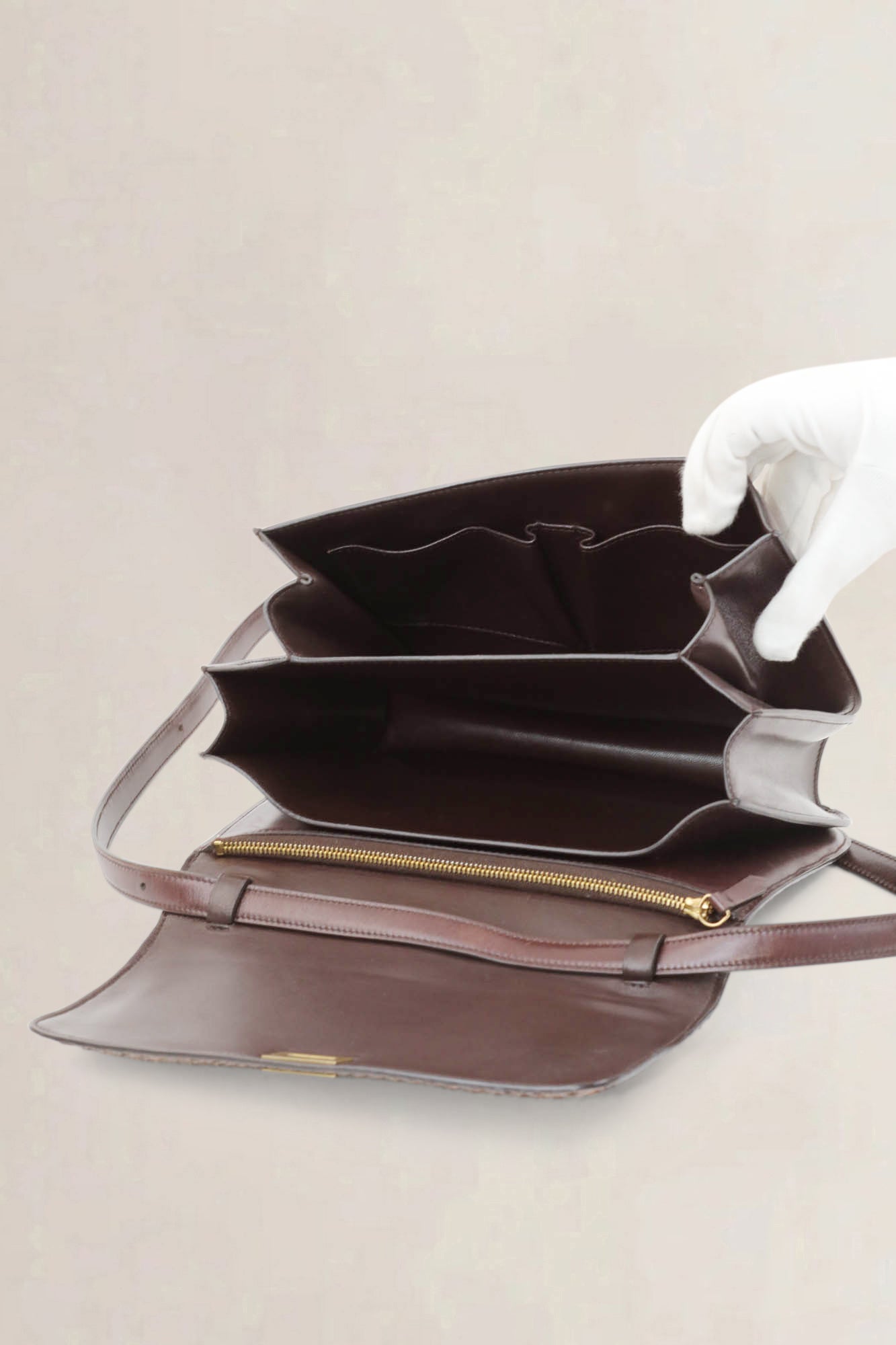 Brown Python Classic Box Crossbody Bag