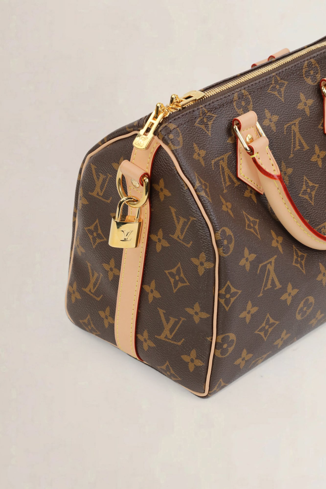 Speedy Bandoulière 25 Crossbody Bag