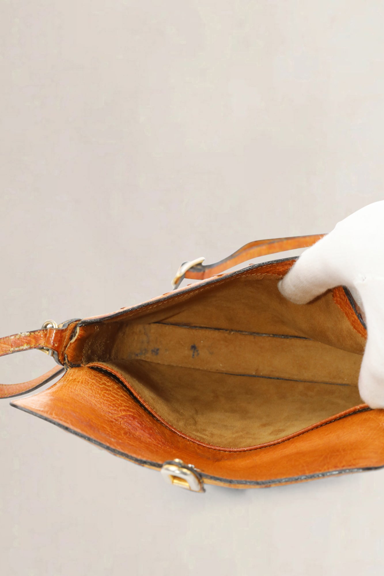 Brown Ostrich Crossbody Bag