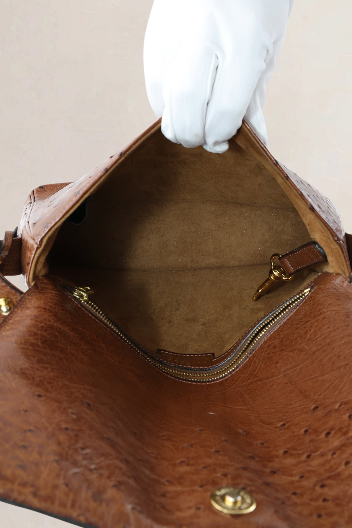 Delvaux Poirier Tabac Ostrich Leather Crossbody Bag