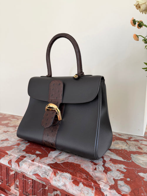 Delvaux Brillant MM Dark Brown Ostrich Crossbody Bag