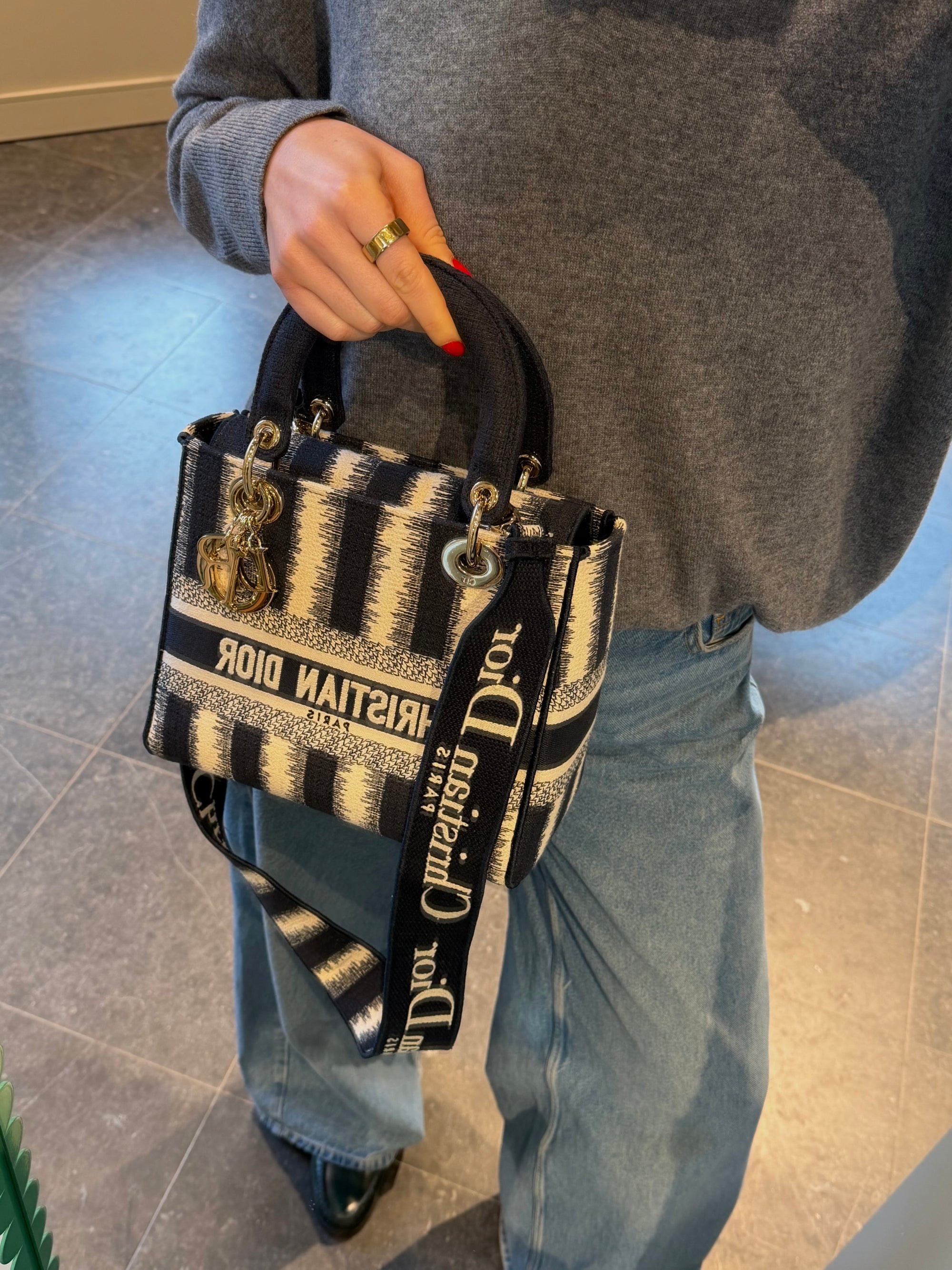 Christian Dior Blue/Beige Striped Lady  D-Lite Crossbody Bag