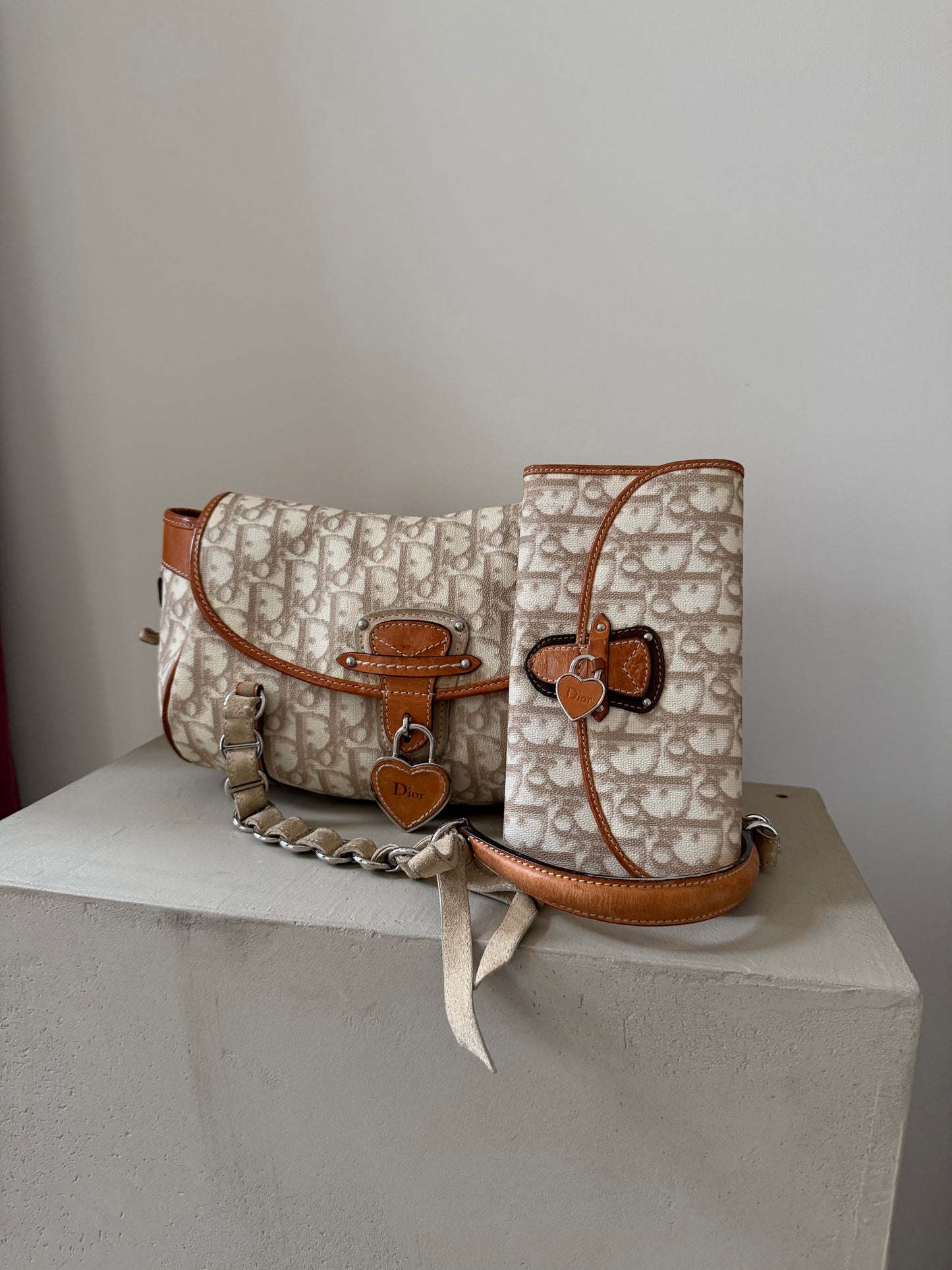 Christian Dior Romantique Trotter Shoulder Bag