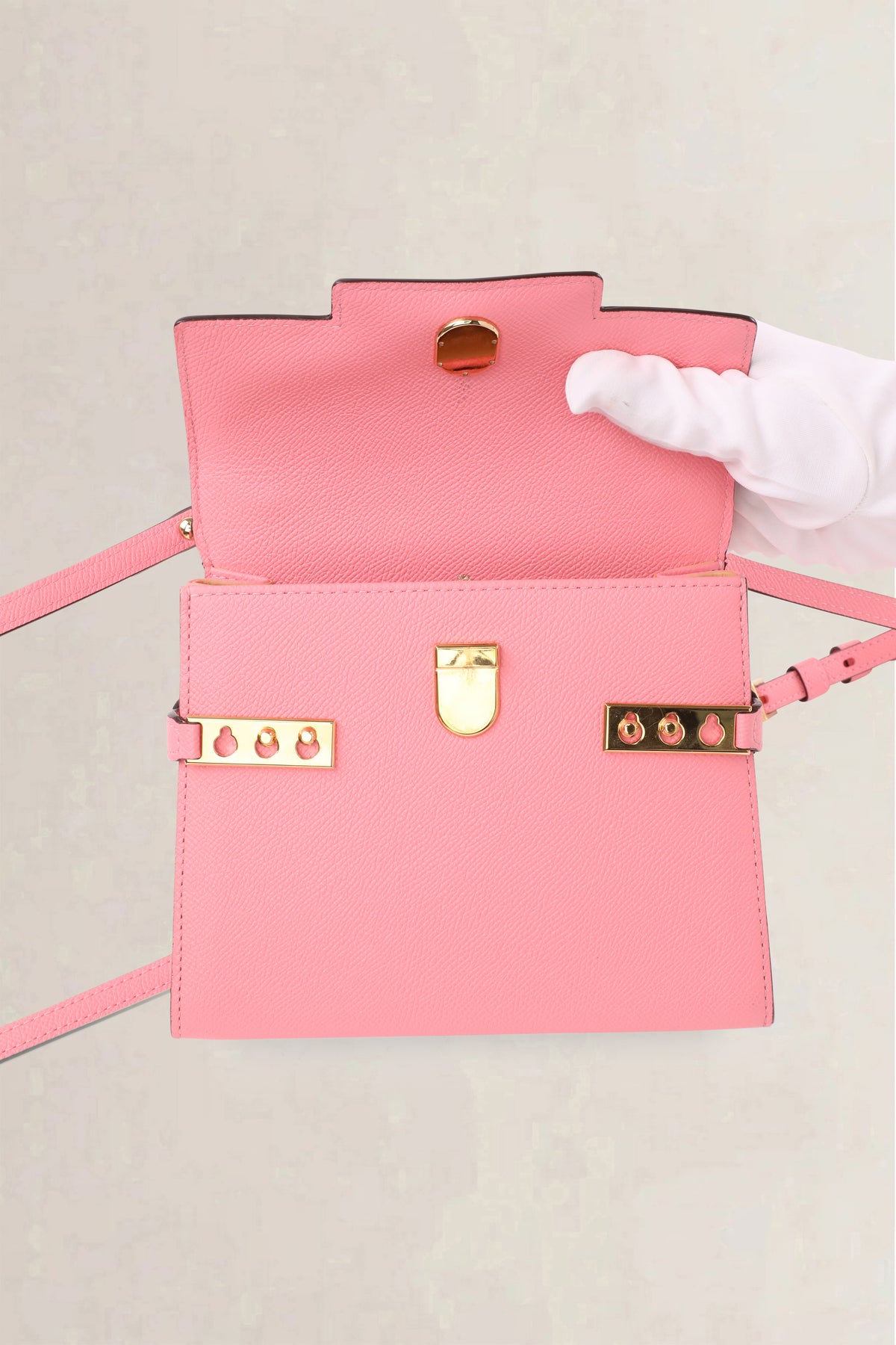 Delvaux Pink Tempête Alpina Calf Small Crossbody Bag