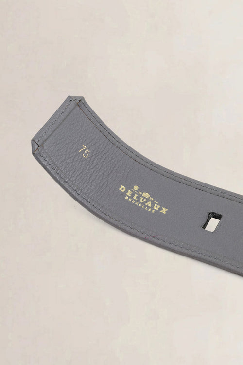 Delvaux Blue/Grey Belt