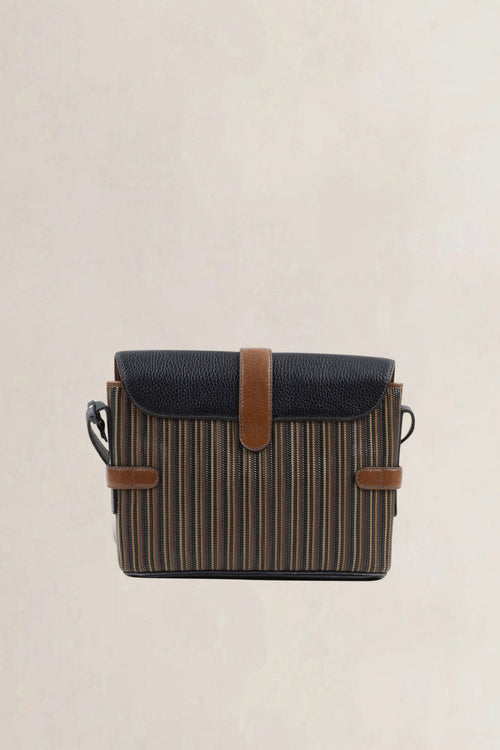 Delvaux Brown/Blue Toile De Cuir Crossbody Bag
