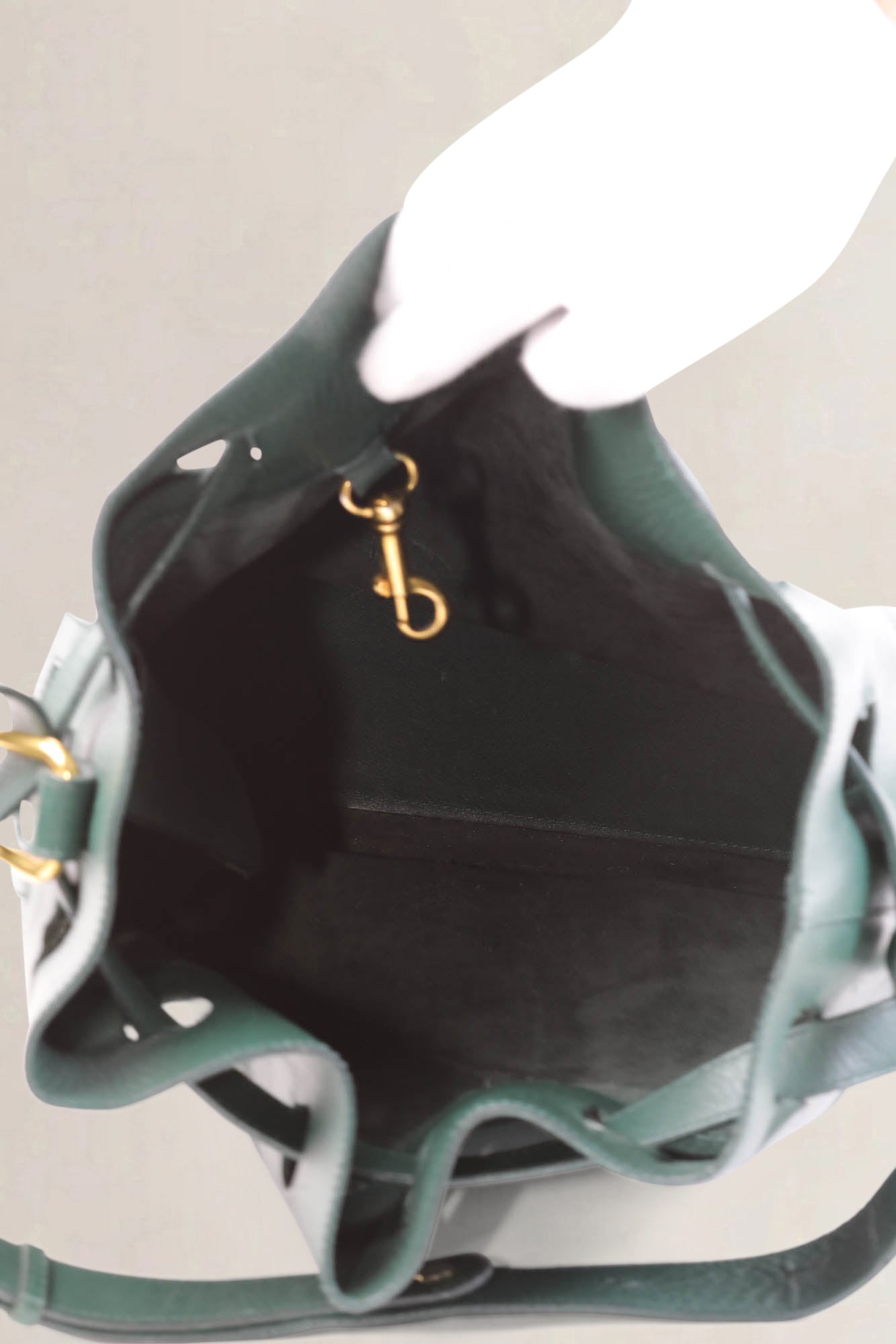 Delvaux Green Cattogan Trotteur Shoulder Bag