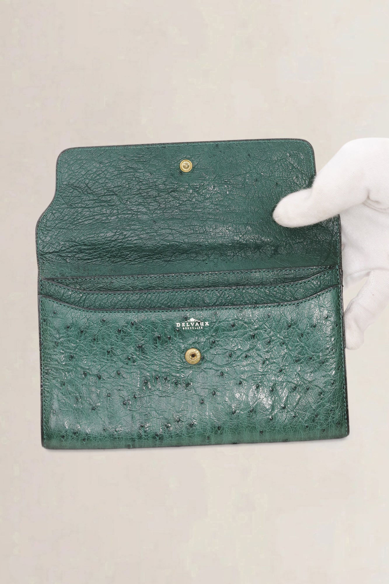Delvaux Green Ostrich Wallet