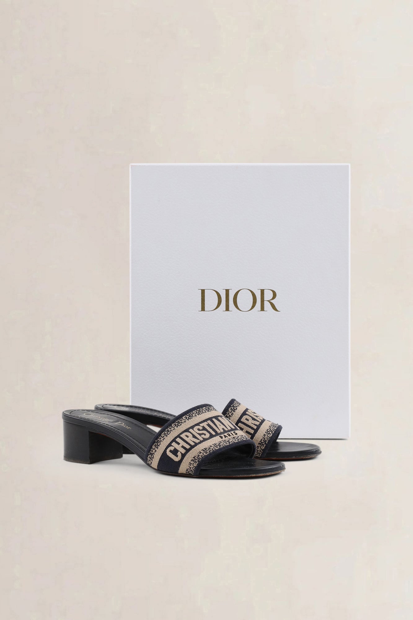 Christian Dior Dway blue heeled slides — preloved