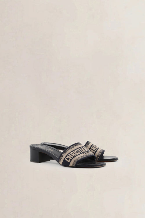 Christian Dior Blue Dway Heeled Slide