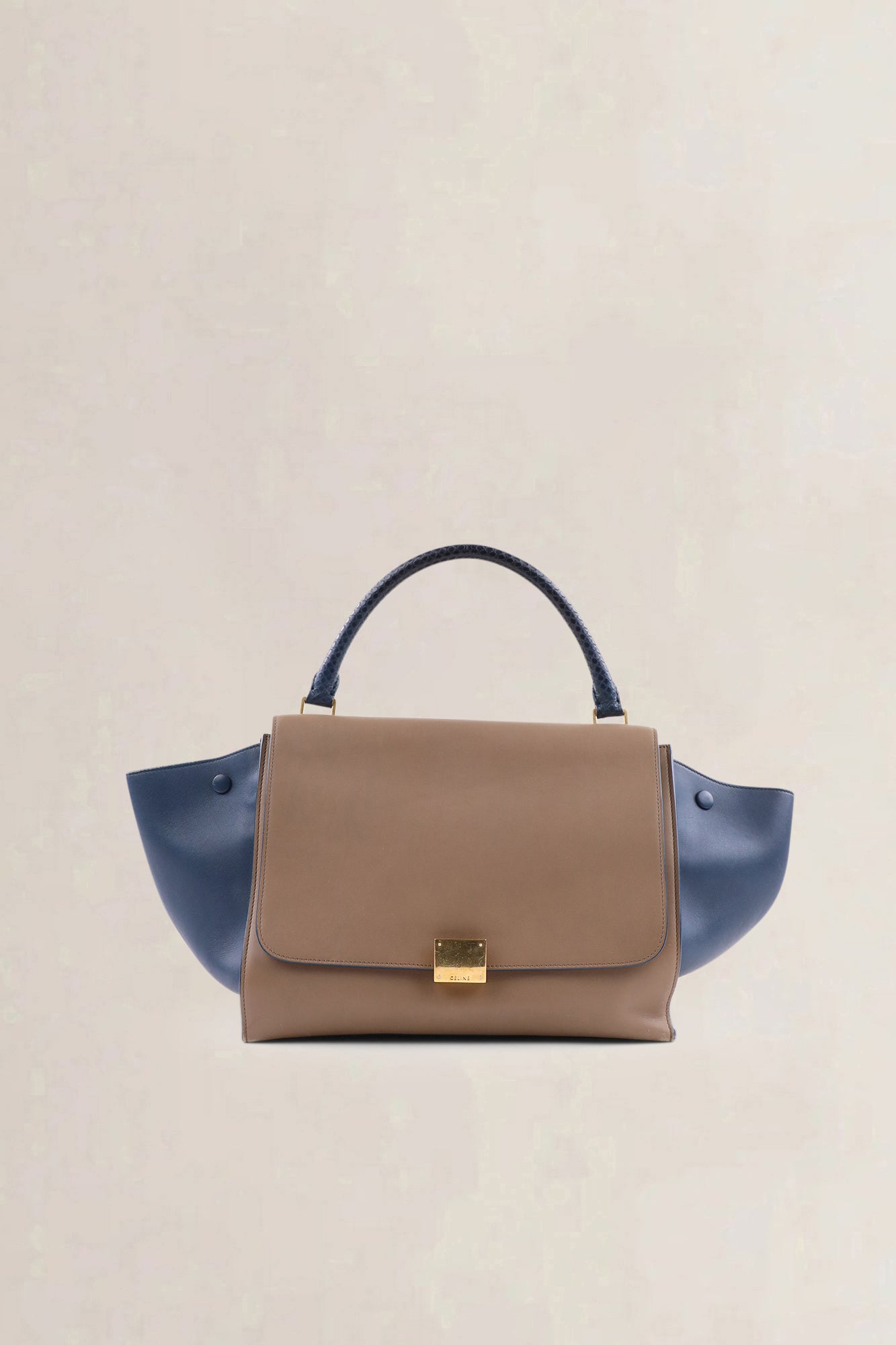 Céline Blue/Brown Trapeze — vintage