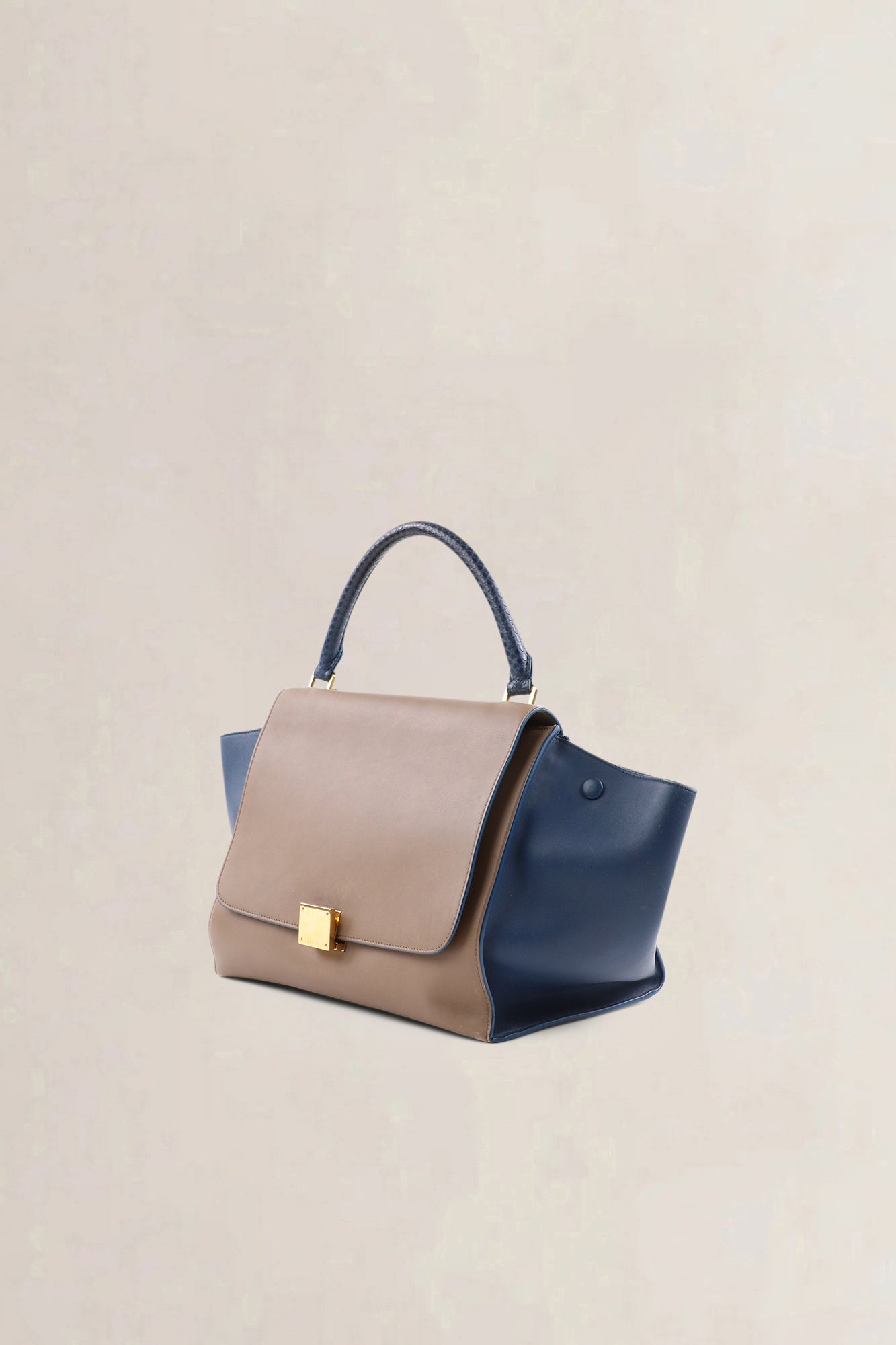 Céline Blue/Brown Trapeze — vintage
