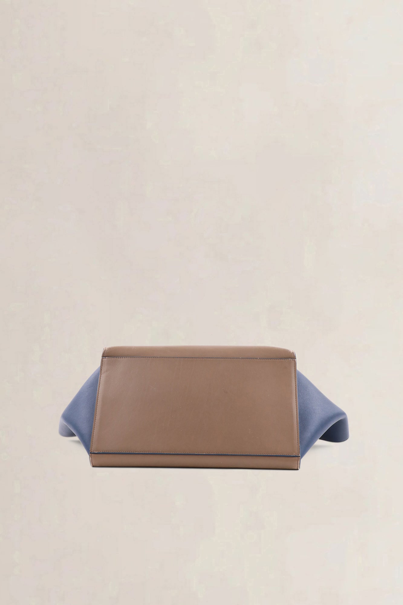 Céline Blue/Brown Trapeze — vintage