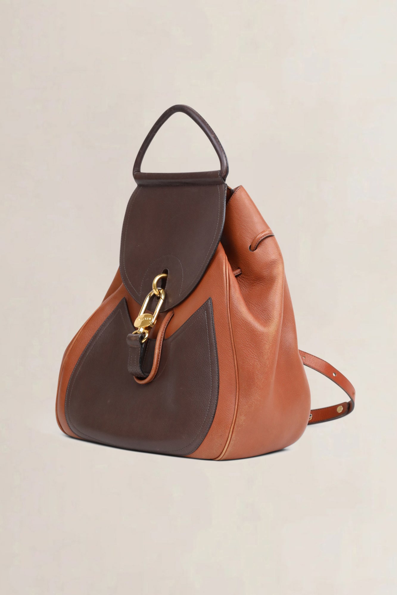 Delvaux Brown Lucifer Backpack GM