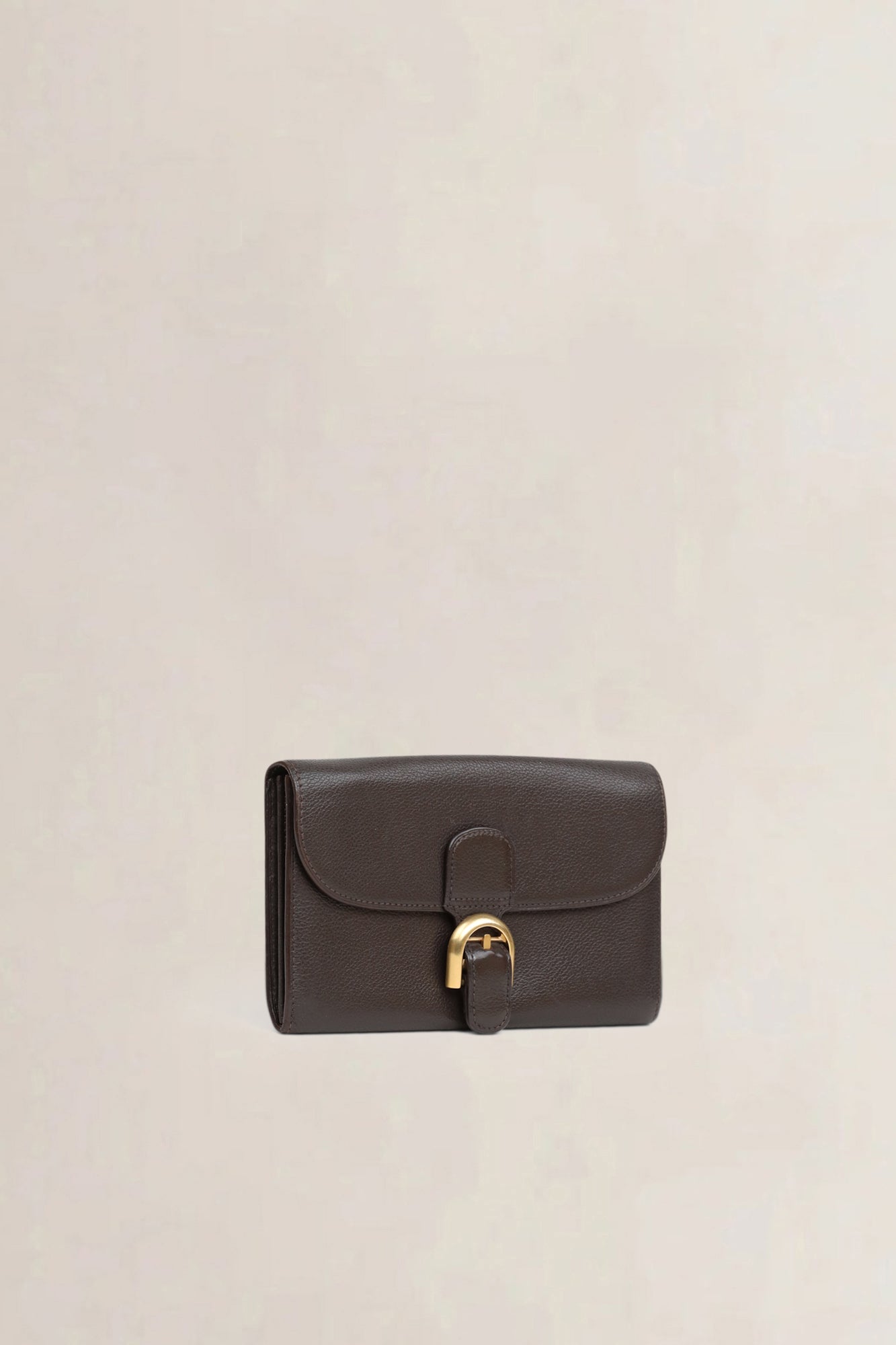 Delvaux Brown Brillant Wallet