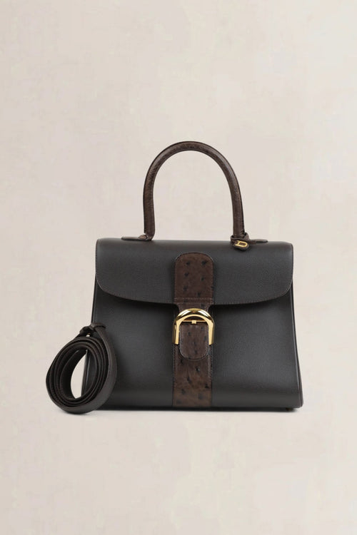 Delvaux Brillant MM Dark Brown Ostrich Crossbody Bag