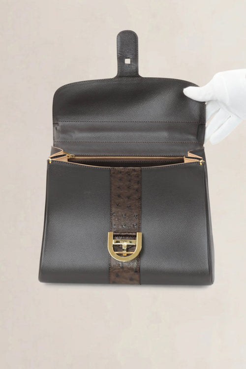 Delvaux Brillant MM Dark Brown Ostrich Crossbody Bag