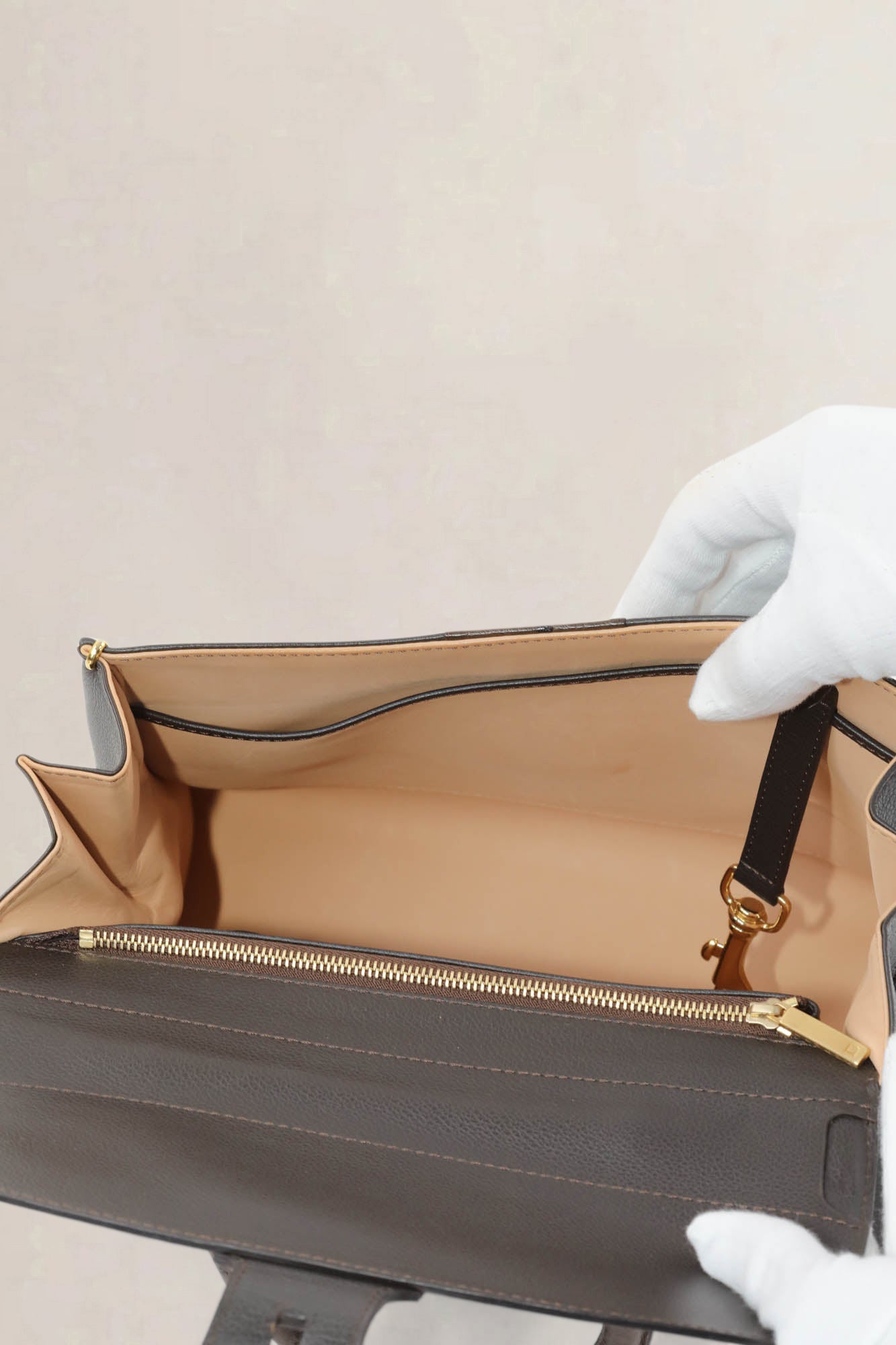 Delvaux Brillant MM Dark Brown Ostrich Crossbody Bag