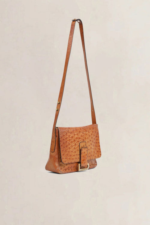 Delvaux Cognac Poirier Ostrich Leather Crossbody Bag