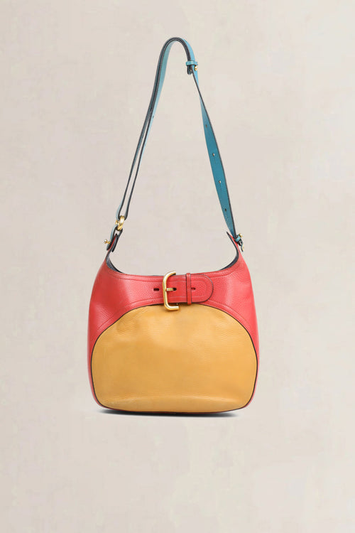 Delvaux Multicolor Chardonnay Crossbody Bag