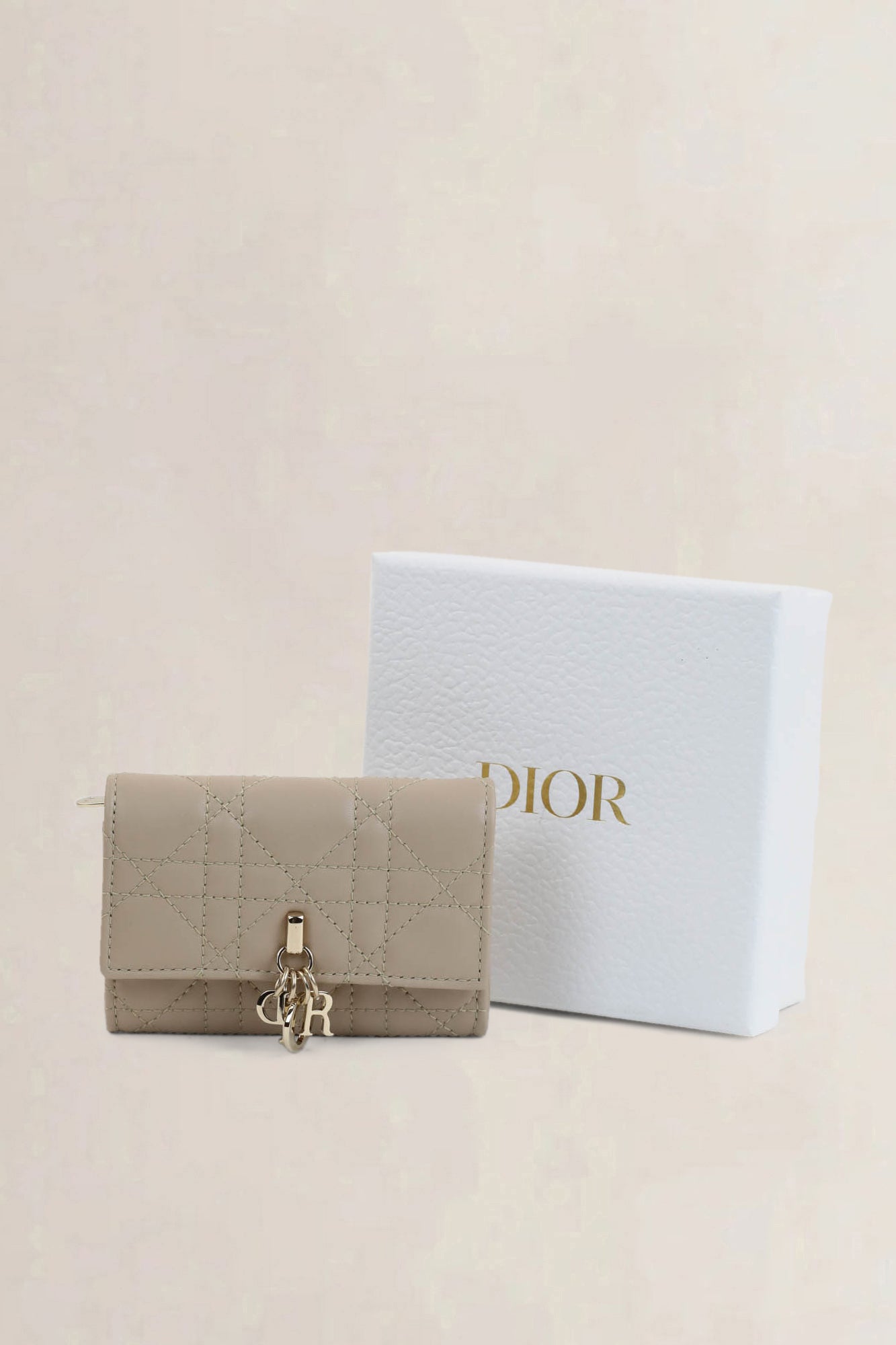 Christian Dior Powder My Dior Glycine Wallet