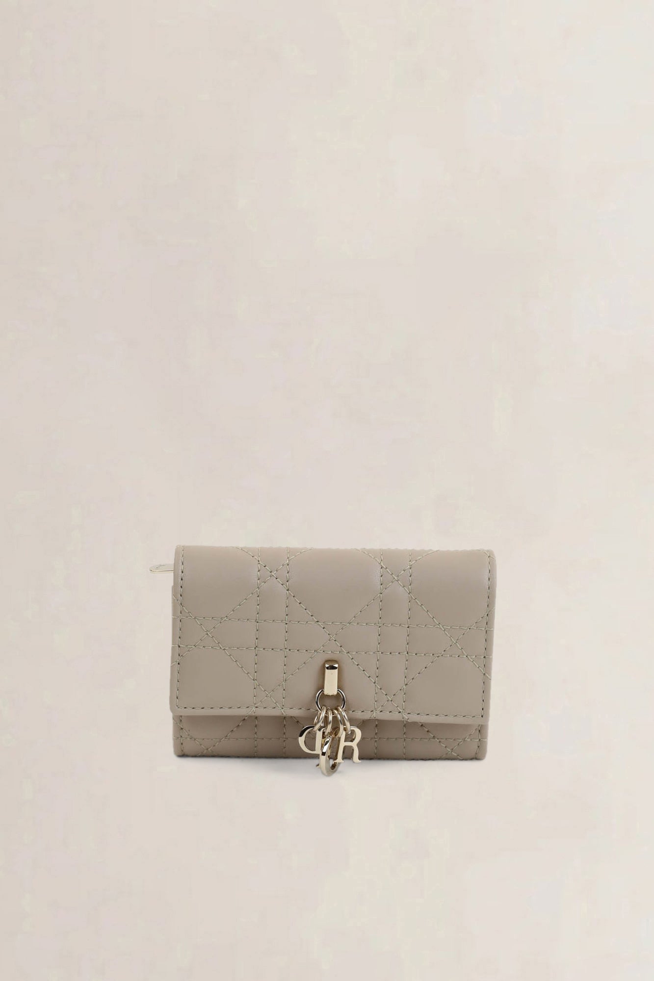 Christian Dior Powder My Dior Glycine Wallet