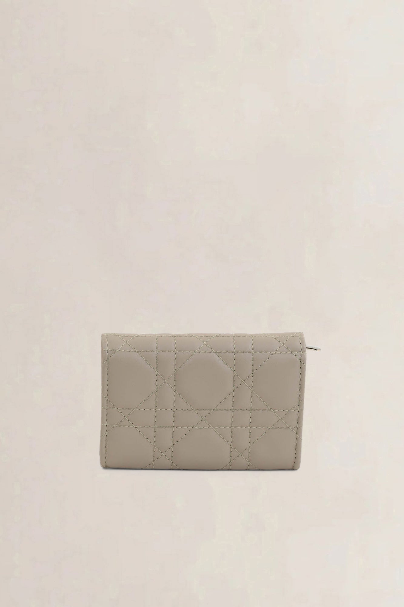 Christian Dior Powder My Dior Glycine Wallet