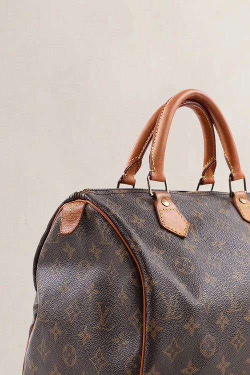 Louis Vuitton Classic Monogram Speedy 25 Top Handle Bag