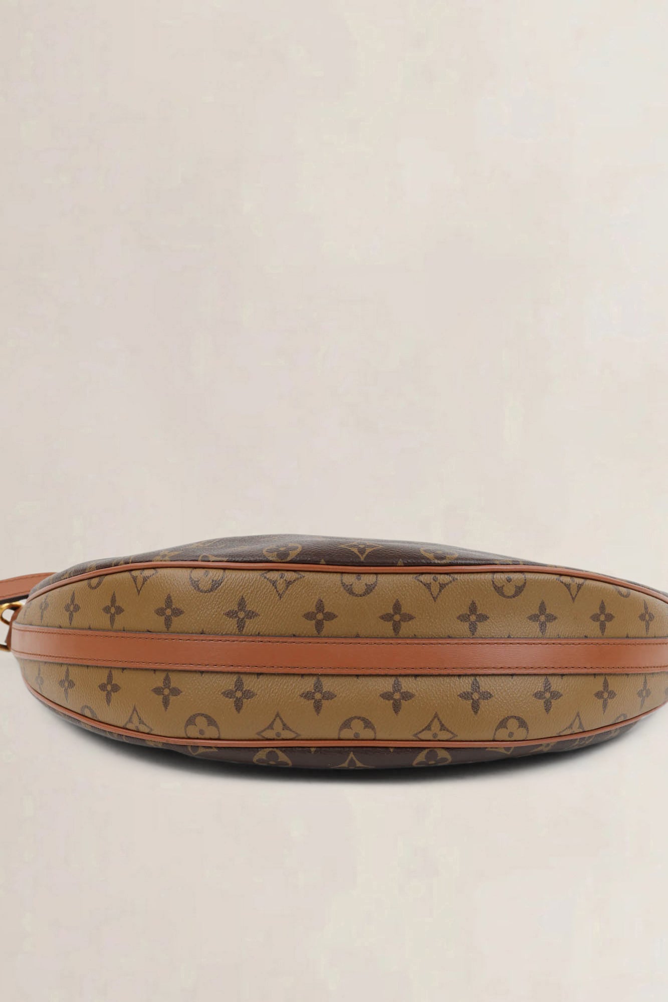 Louis Vuitton Monogram Loop GM Crossbody Bag