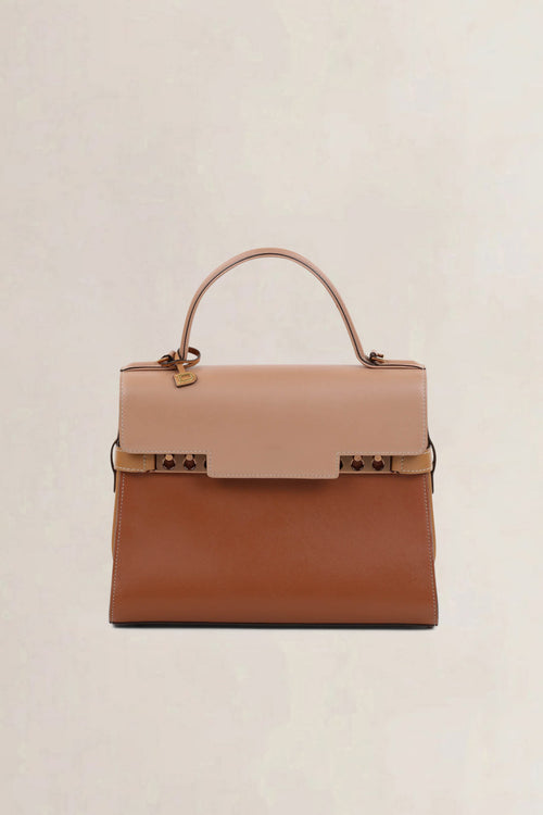 Delvaux Tempête MM Bi-color Crossbody Bag