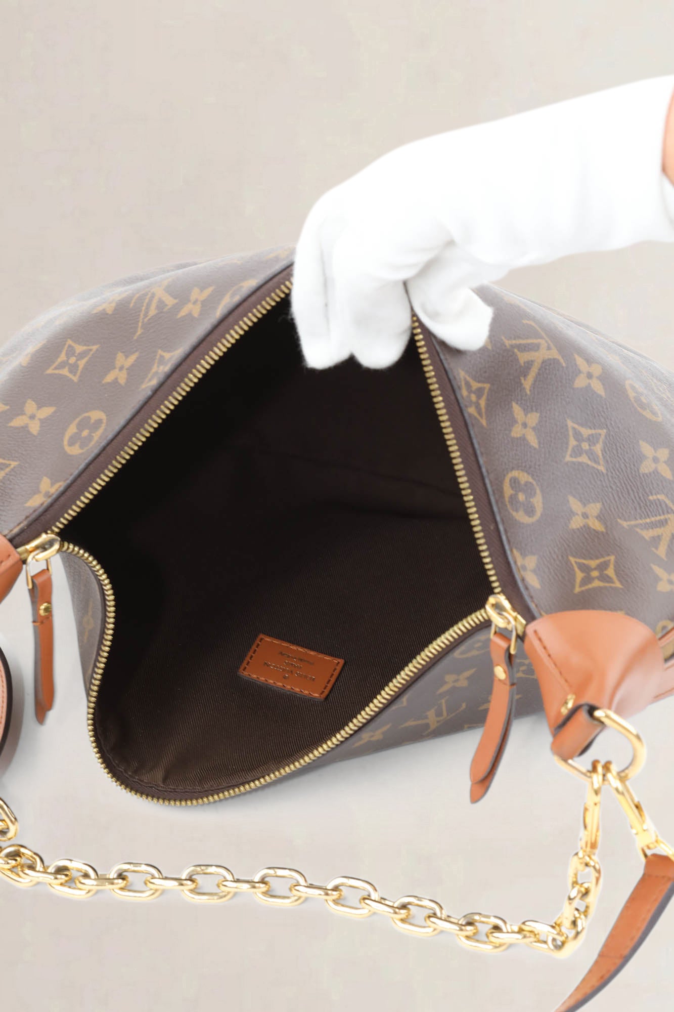 Louis Vuitton Monogram Loop GM Crossbody Bag