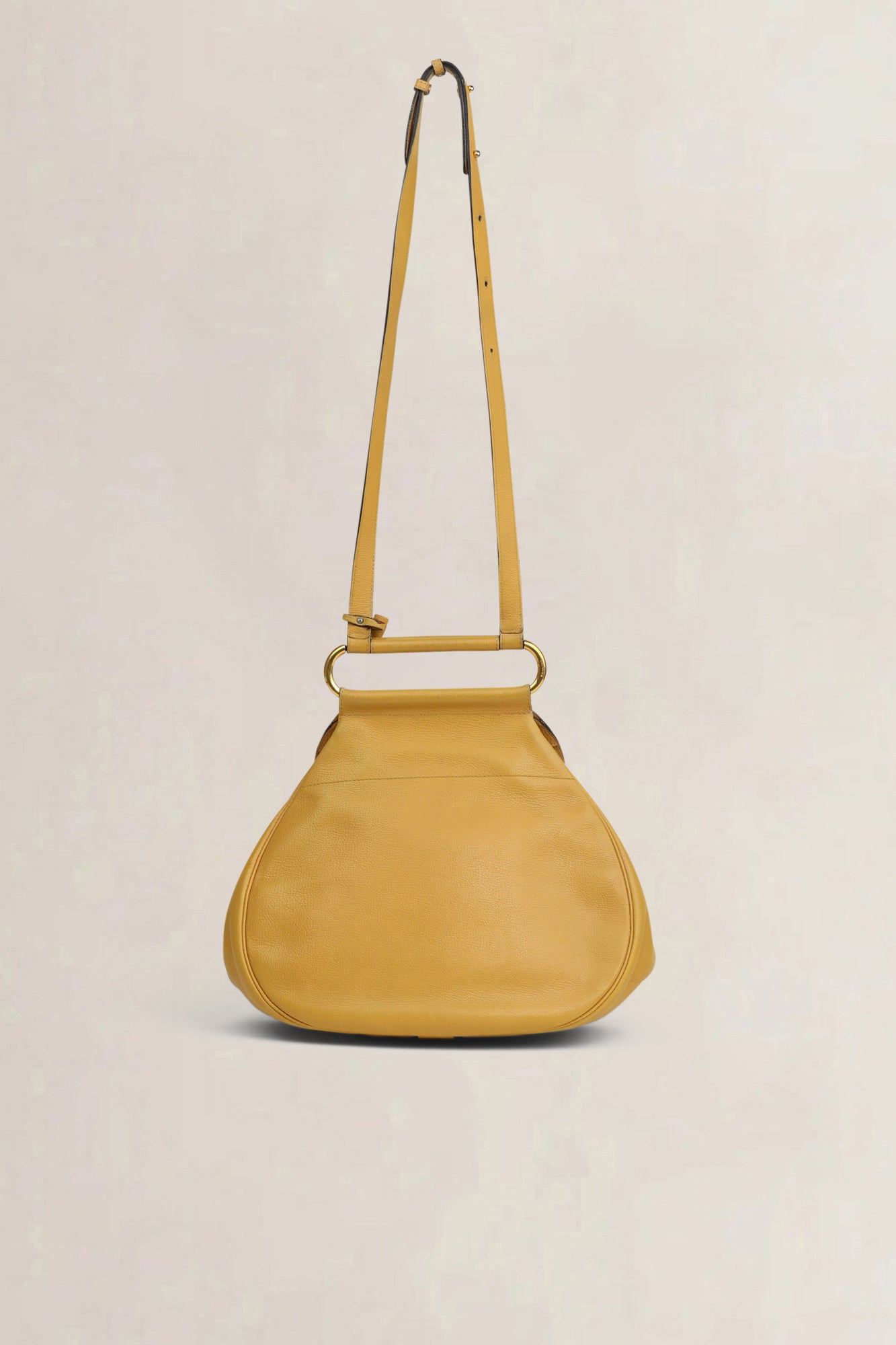 Delvaux Yellow Cerceau GM Crossbody Bag