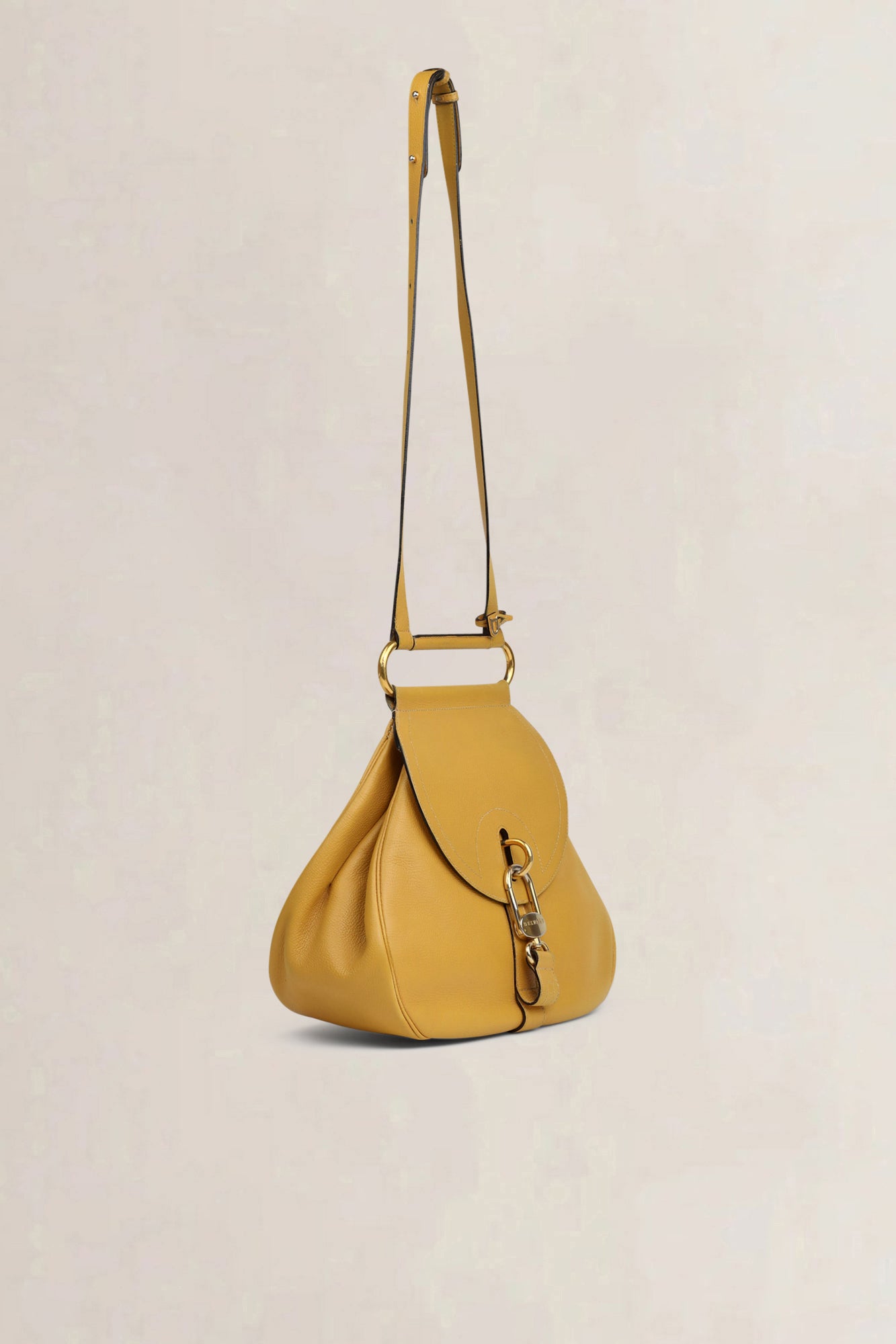 Delvaux Yellow Cerceau GM Crossbody Bag