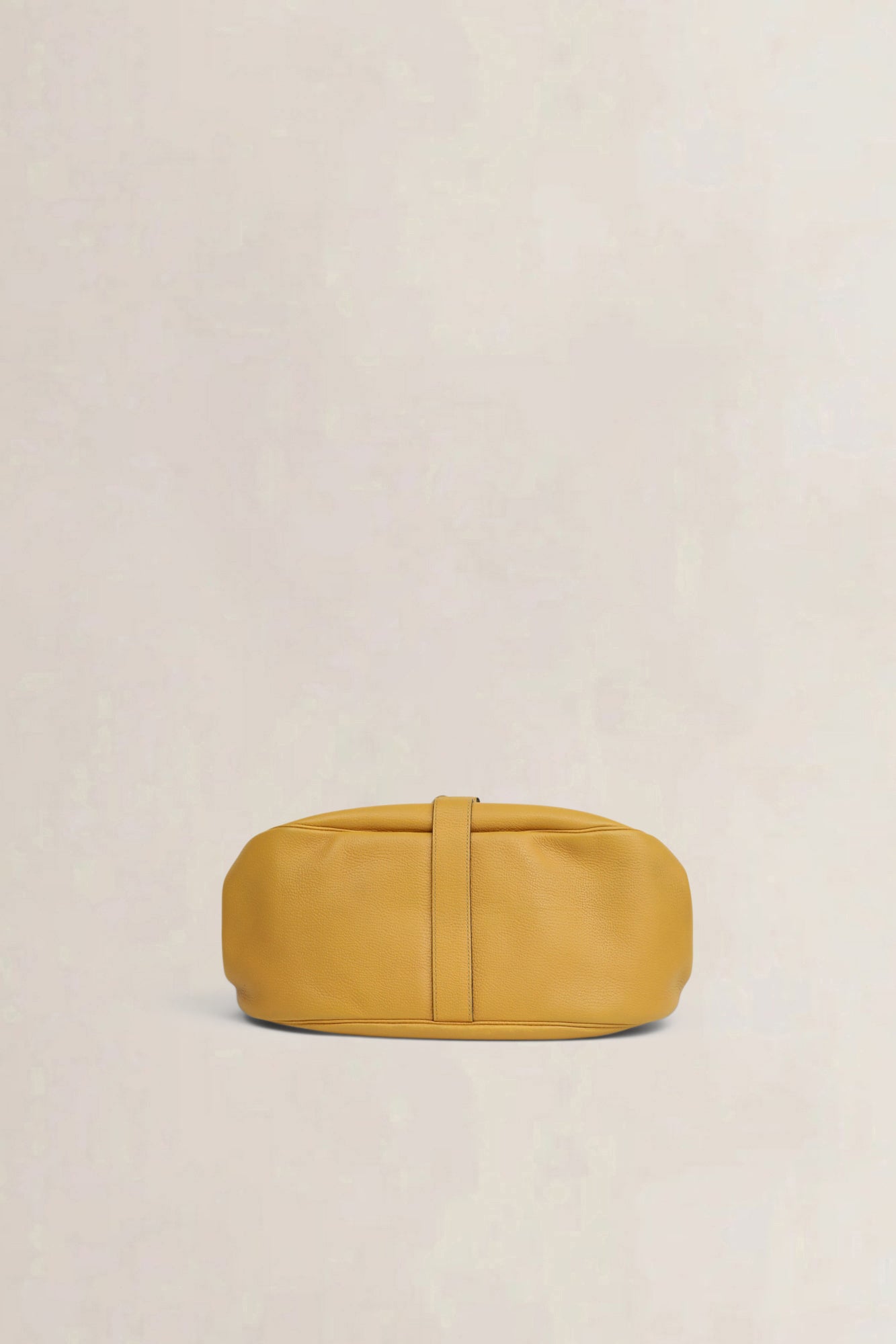 Delvaux Yellow Cerceau GM Crossbody Bag