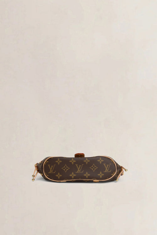 Louis Vuitton Theda Monogram PM Top Handle Bag