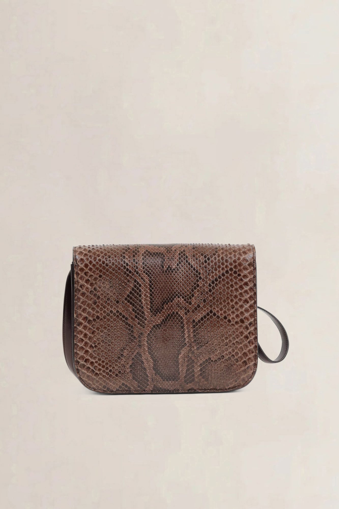 Céline Brown Python Classic Box Crossbody Bag