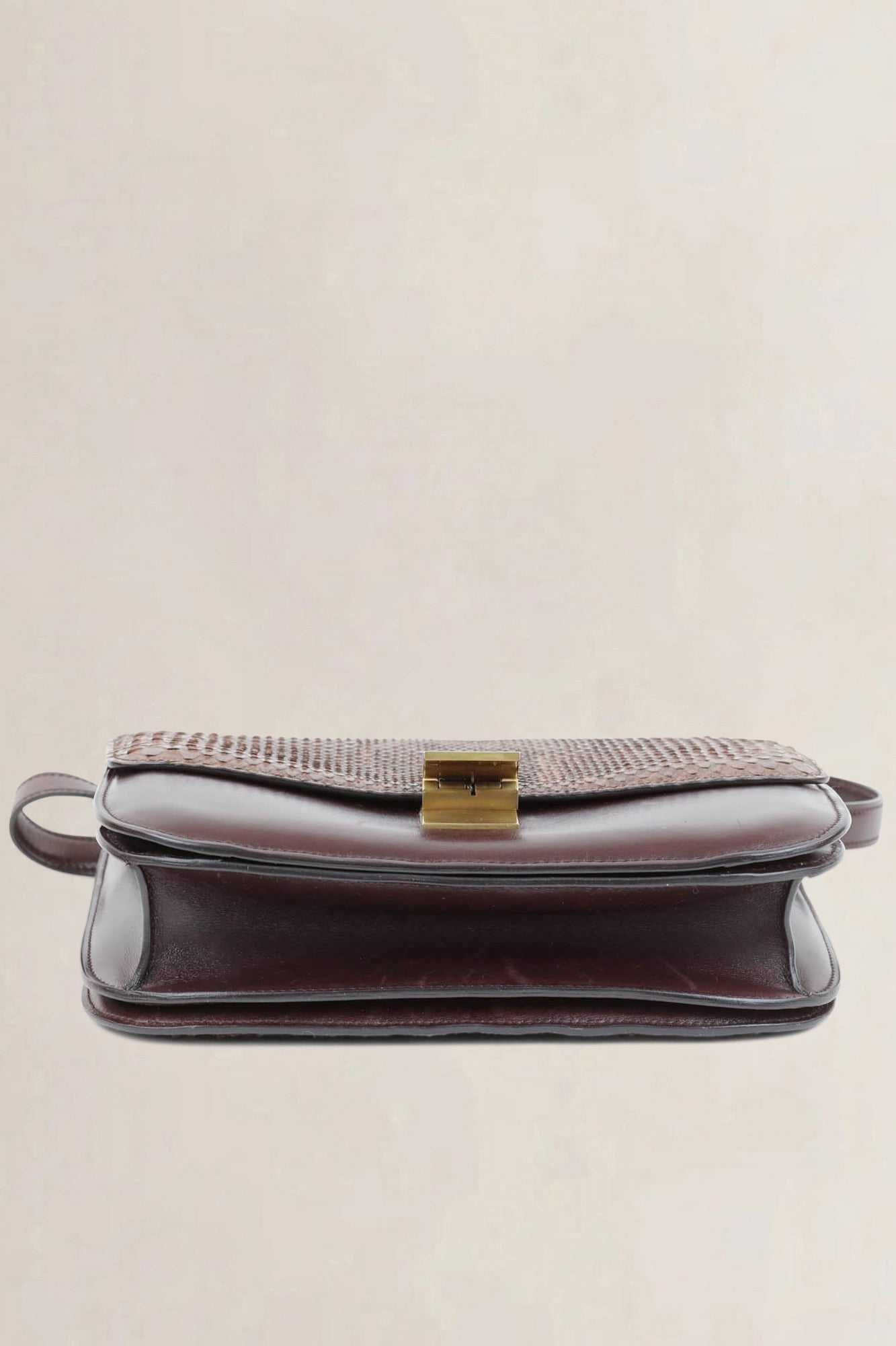 Céline Brown Python Classic Box Crossbody Bag