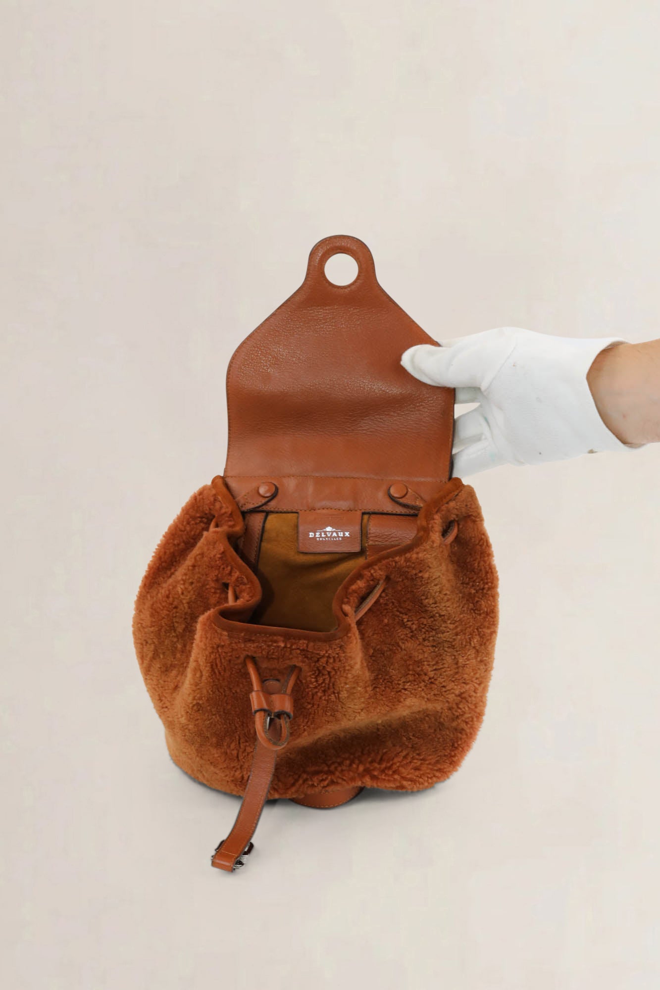 Delvaux Brown Soleil PM Teddy Backpack