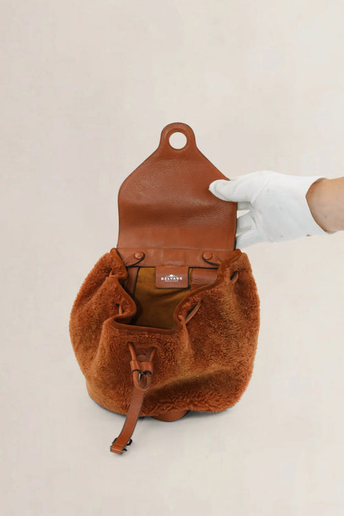 Delvaux Brown Soleil PM Teddy Backpack