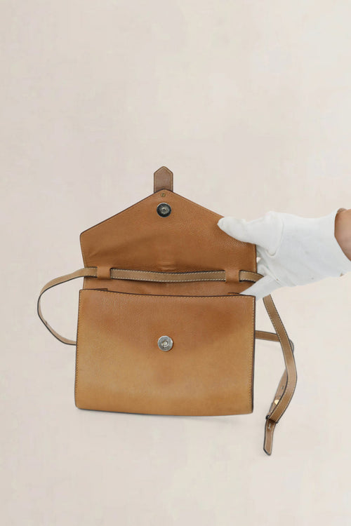 Delvaux Brown Leather Crossbody Bag