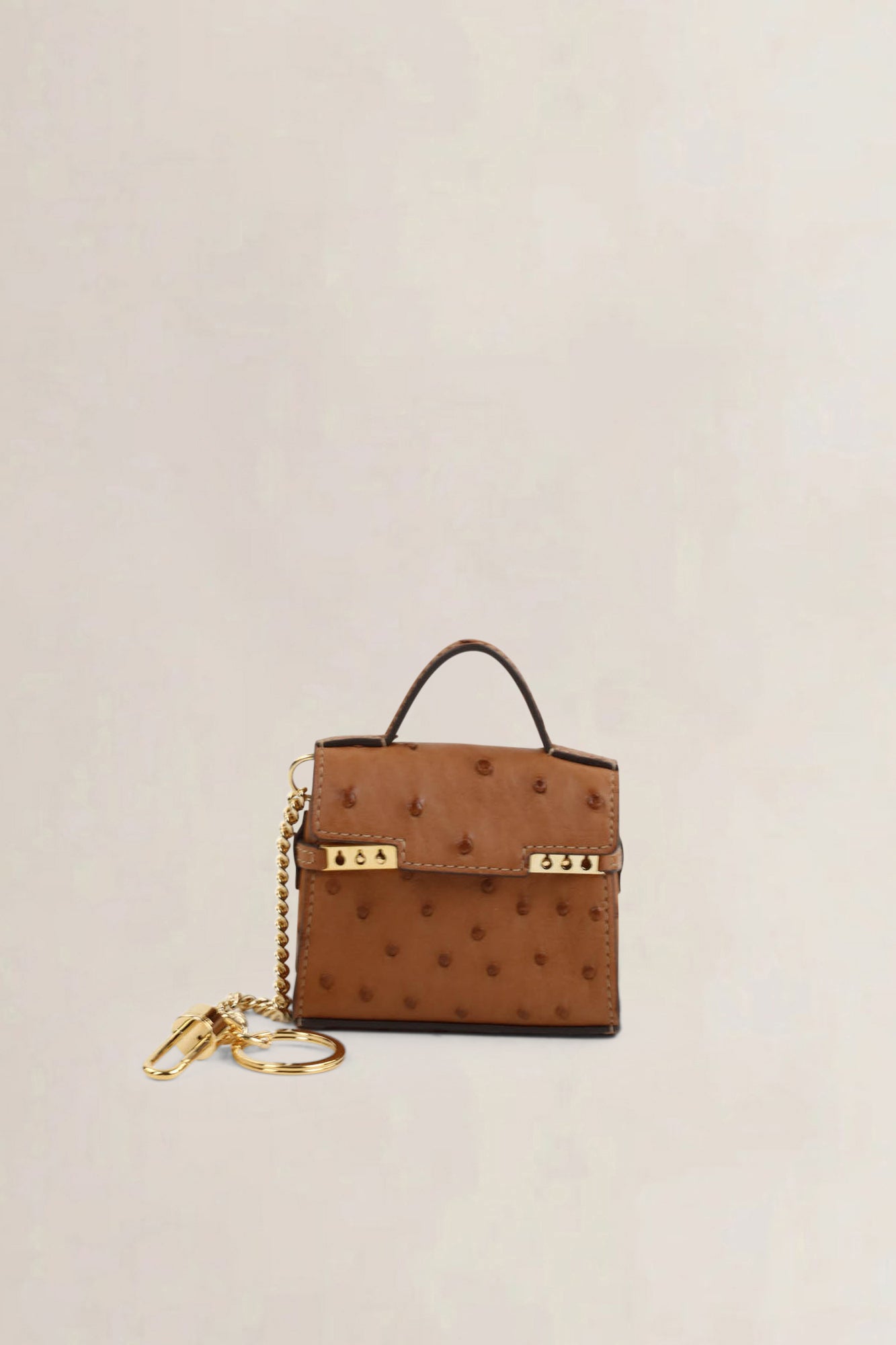Delvaux Brown Ostrich Tempête Charm