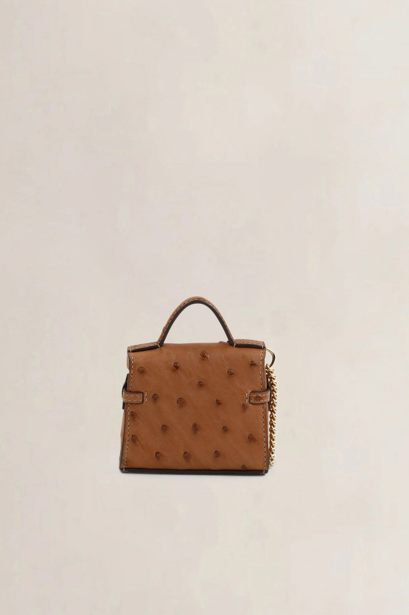Delvaux Brown Ostrich Tempête Charm