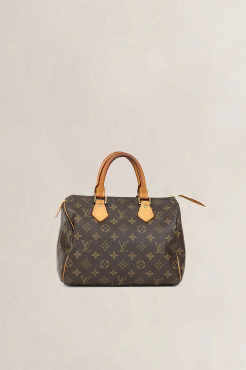 Louis Vuitton Speedy 25 Top Handle Bag