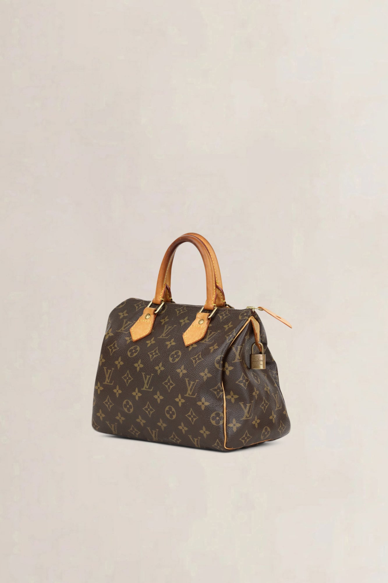 Louis Vuitton Speedy 25 Top Handle Bag