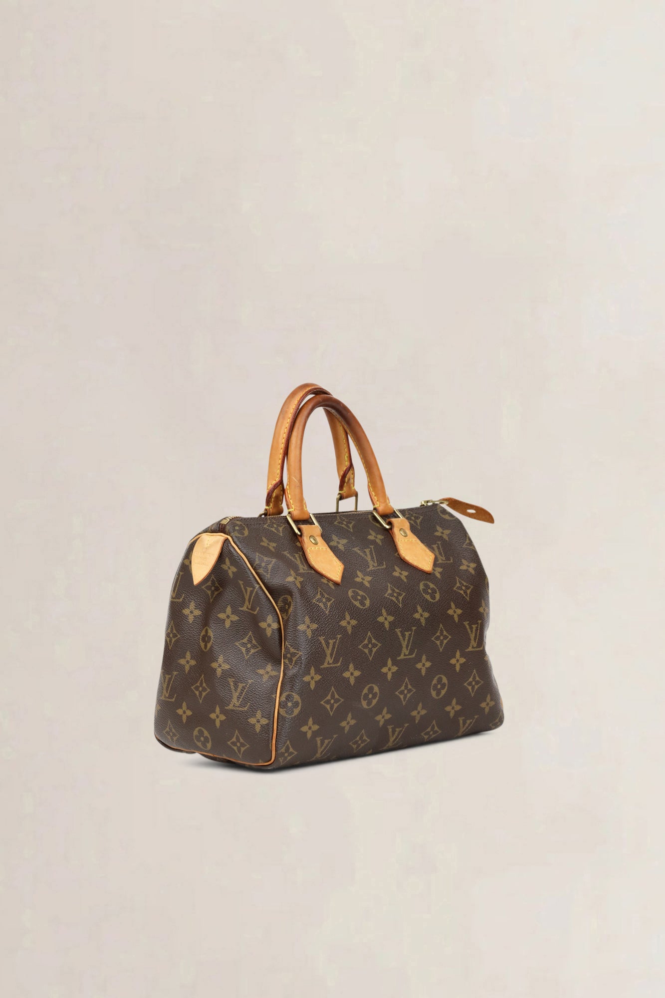 Louis Vuitton Speedy 25 Top Handle Bag