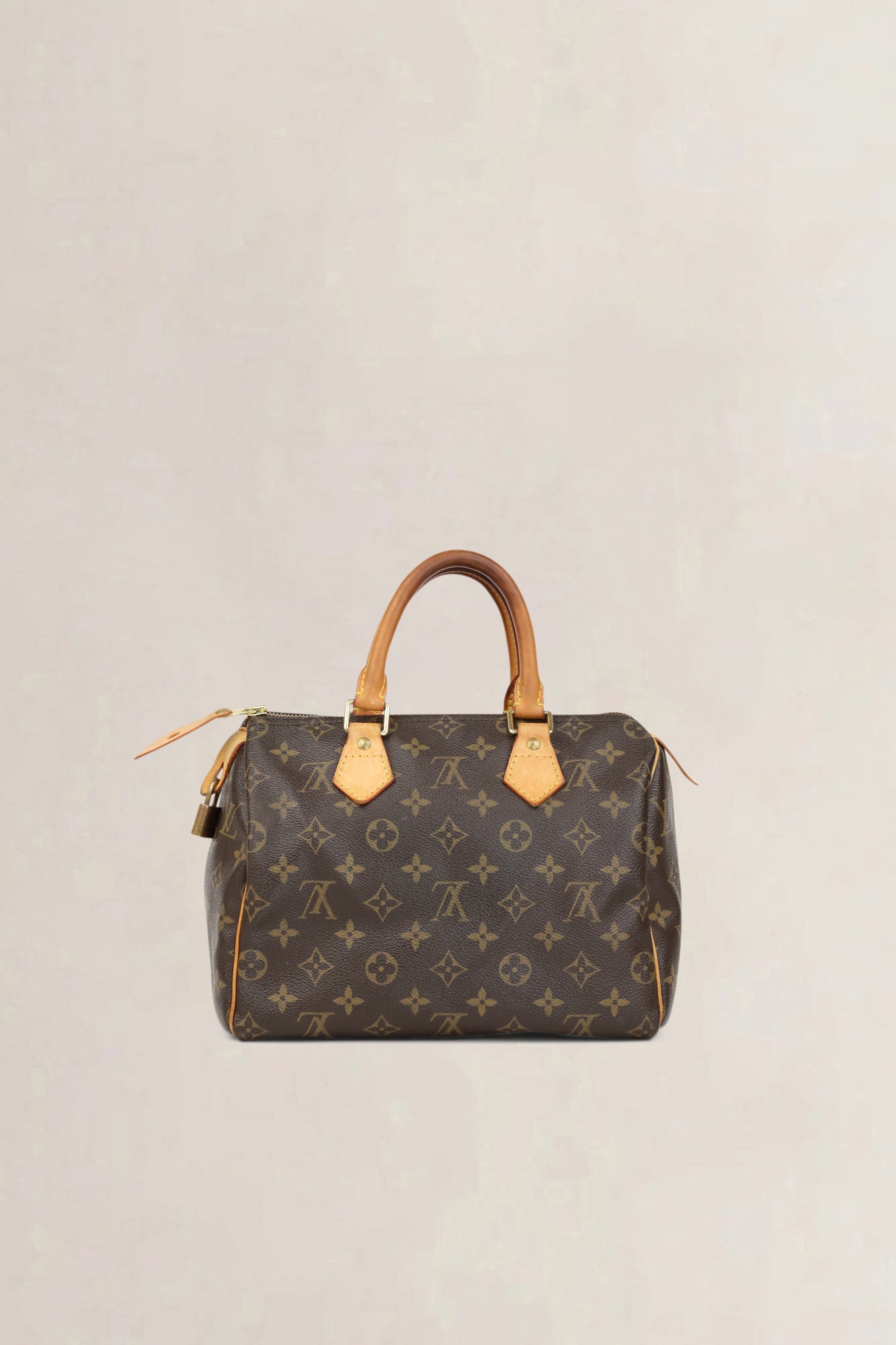 Louis Vuitton Speedy 25 Top Handle Bag